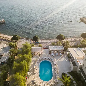 book here